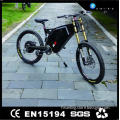 Top quality hot sell electric electric bike